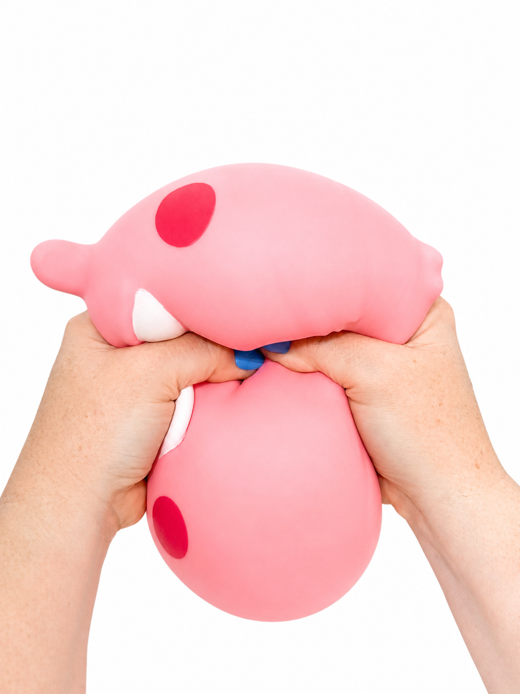 Squishy Chubby Pig