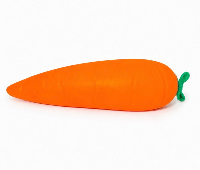 Jumbo Carrot Squishy