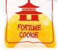 Big Squij Fortune Cookie Squishy