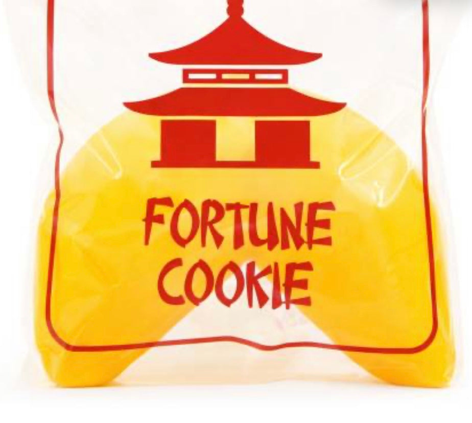 Big Squij Fortune Cookie Squishy