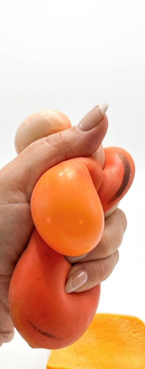 Hot Dog Squishy