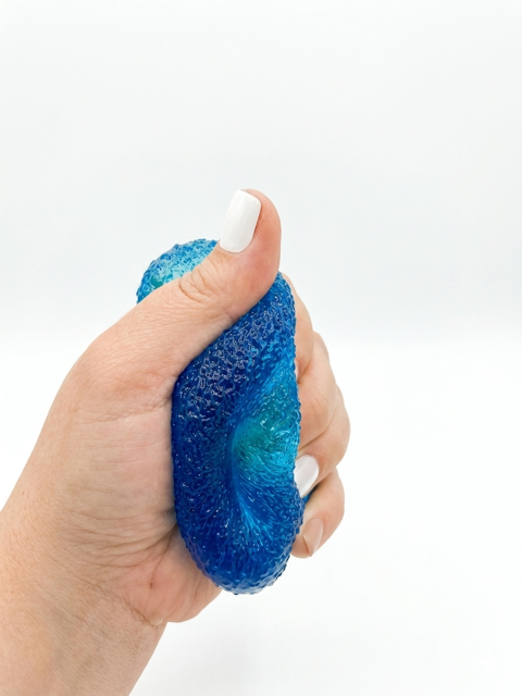 Donut Squishy