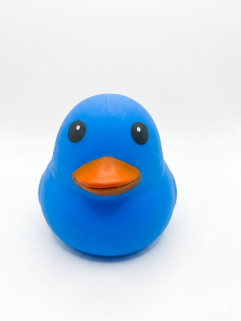 Duck Squishy