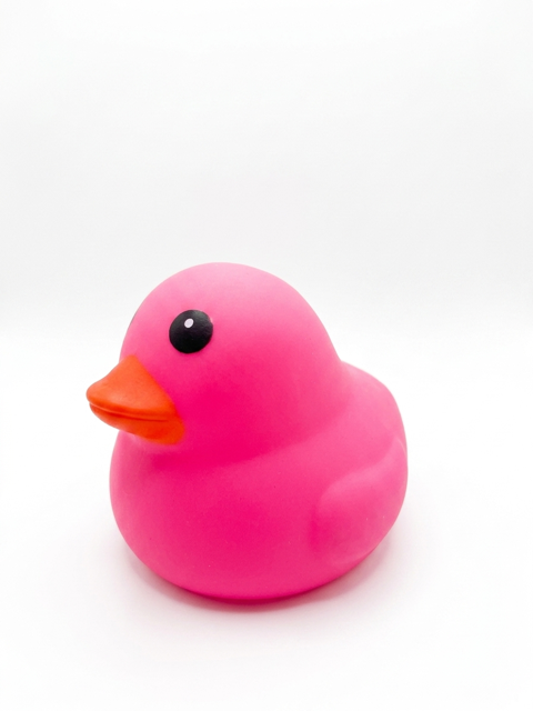 Duck Squishy